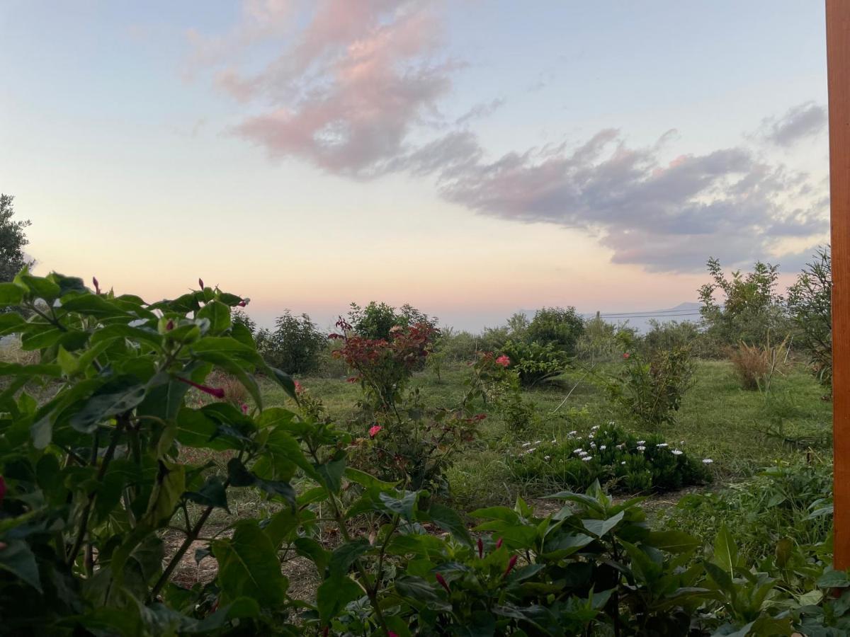 Chrissi'S House With Garden And Sea View Zerviana Villa กิสเซมอส ภายนอก รูปภาพ